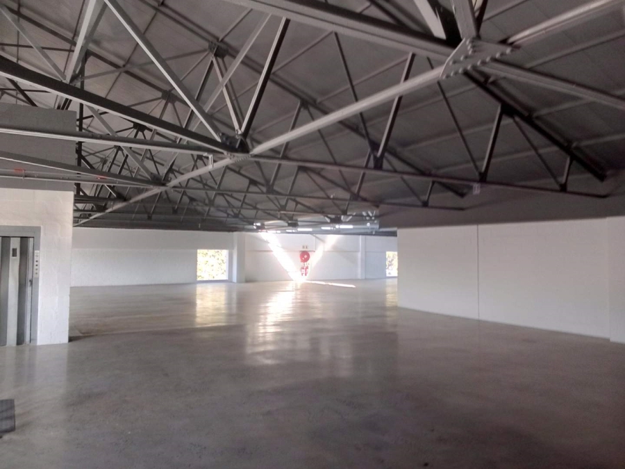 To Let commercial Property for Rent in Diep River Western Cape